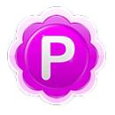 Pamela for Skype